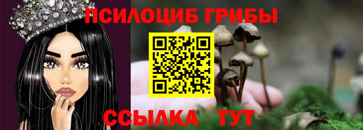 Петропавловск-Камчатский  Галлюциногенные грибы MAGIC MUSHROOMS  Вход с VPN  Галлюциногенные грибы ЛСД 